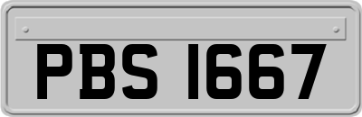 PBS1667