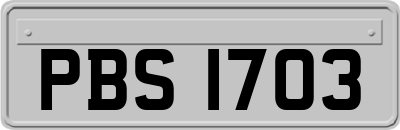 PBS1703