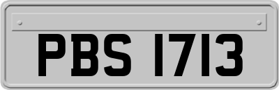 PBS1713