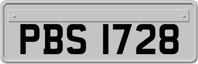 PBS1728