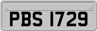 PBS1729