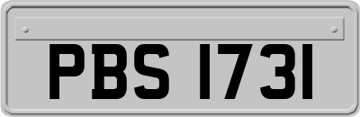 PBS1731