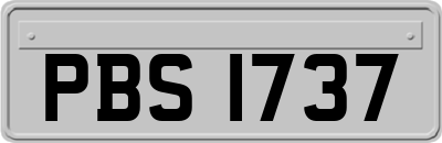 PBS1737