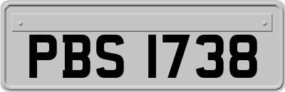 PBS1738