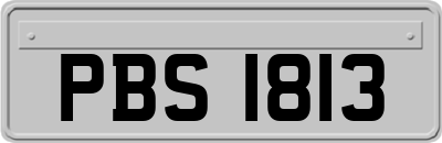 PBS1813