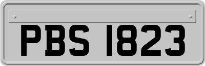 PBS1823