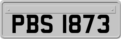 PBS1873