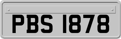 PBS1878