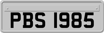 PBS1985