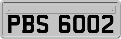 PBS6002