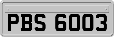 PBS6003