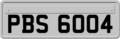 PBS6004