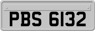 PBS6132