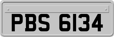 PBS6134