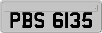 PBS6135