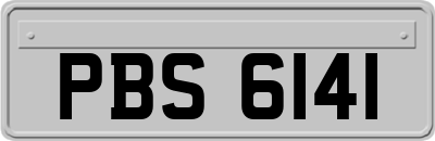 PBS6141