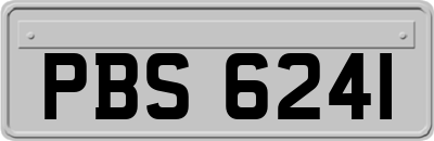 PBS6241