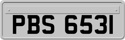 PBS6531