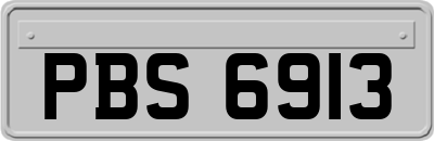 PBS6913