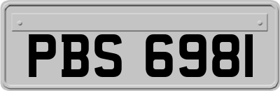 PBS6981