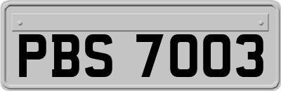 PBS7003