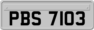 PBS7103