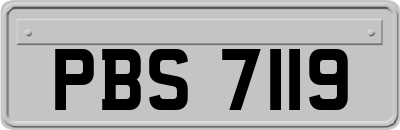 PBS7119