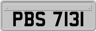 PBS7131