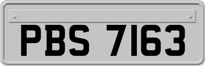 PBS7163