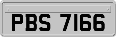 PBS7166