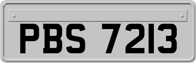 PBS7213