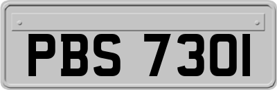 PBS7301