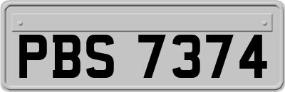 PBS7374