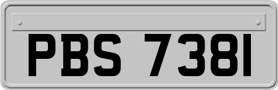 PBS7381