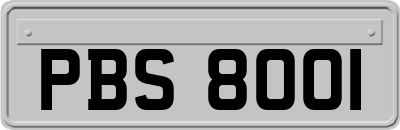 PBS8001