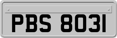 PBS8031