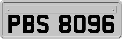 PBS8096