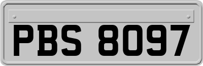 PBS8097