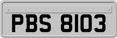 PBS8103