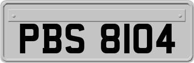 PBS8104