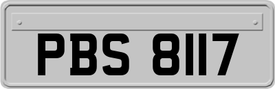 PBS8117