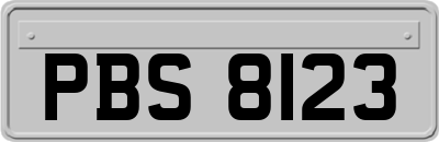 PBS8123