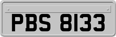 PBS8133