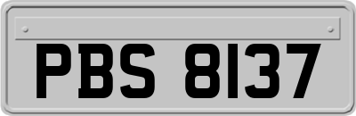 PBS8137