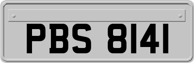 PBS8141