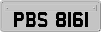 PBS8161