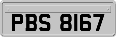 PBS8167