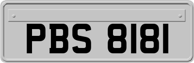 PBS8181