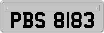 PBS8183