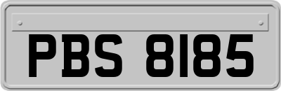 PBS8185